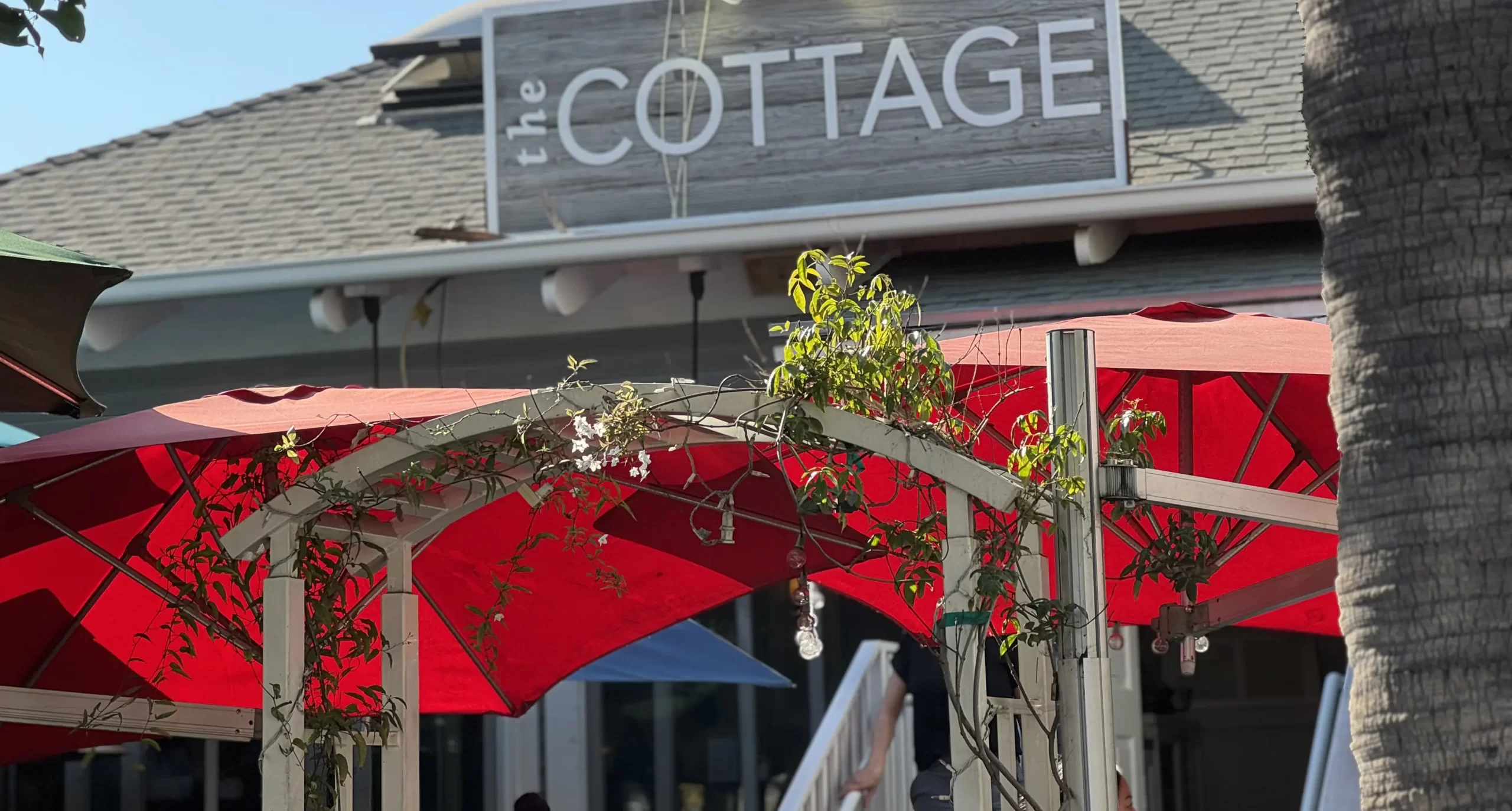 The Cottage in La Jolla: A Delightful Coastal Brunch Experience